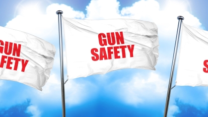 Gun Safety Flags