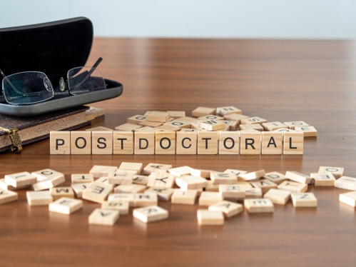 Postdoc fellow image 